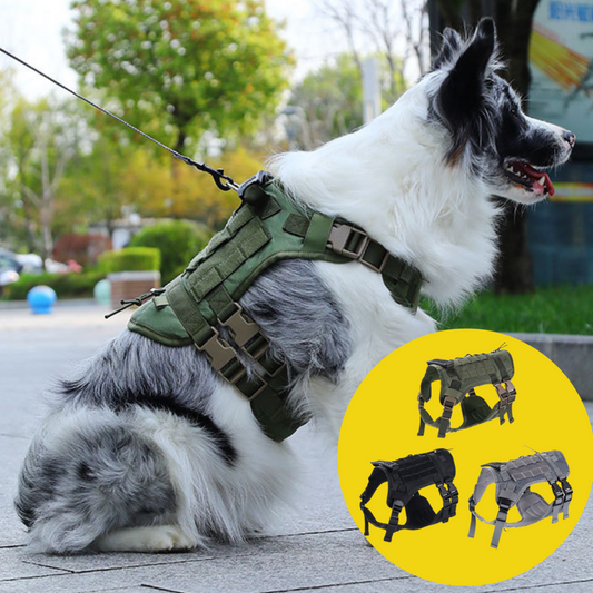 Heavy Duty & Reinforced Vest with Dual Buckle Tactical Dog Harness with Handle for Medium and Large Dogs